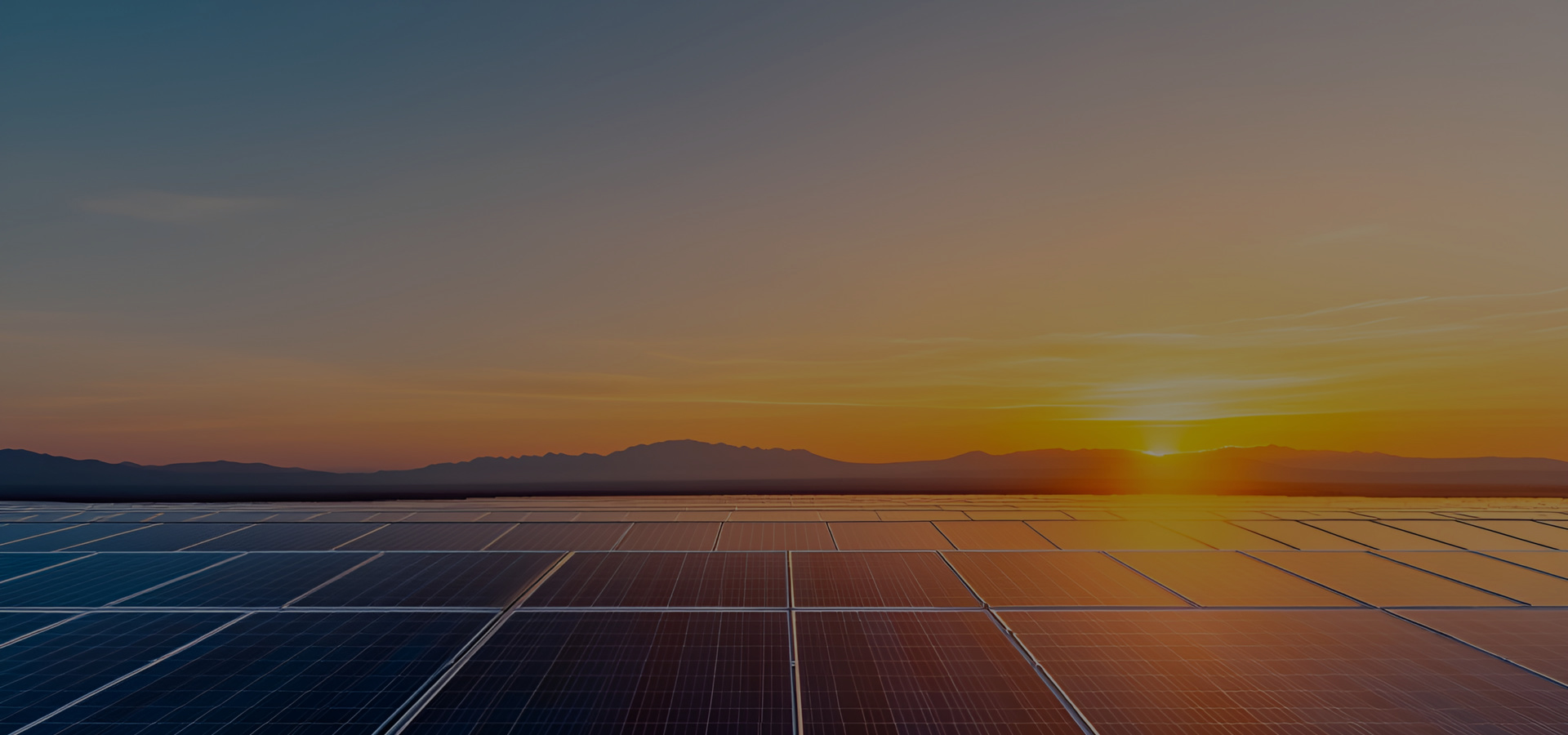 Stake (中国区)官方网站