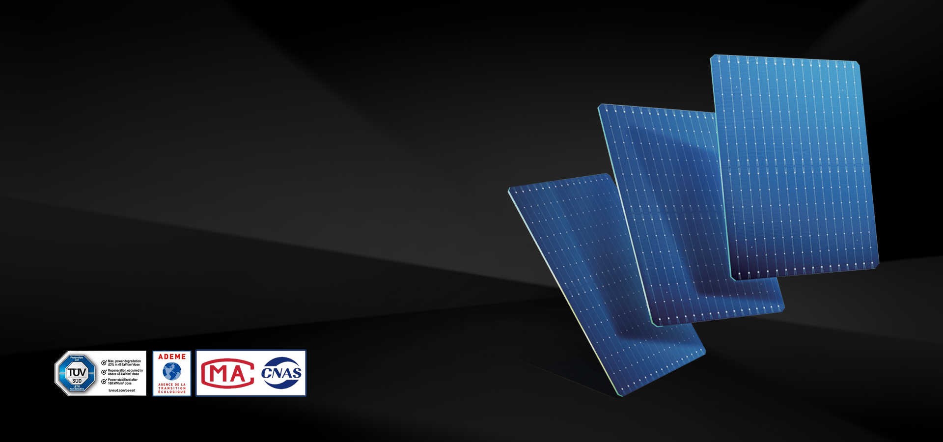 Stake (中国区)官方网站