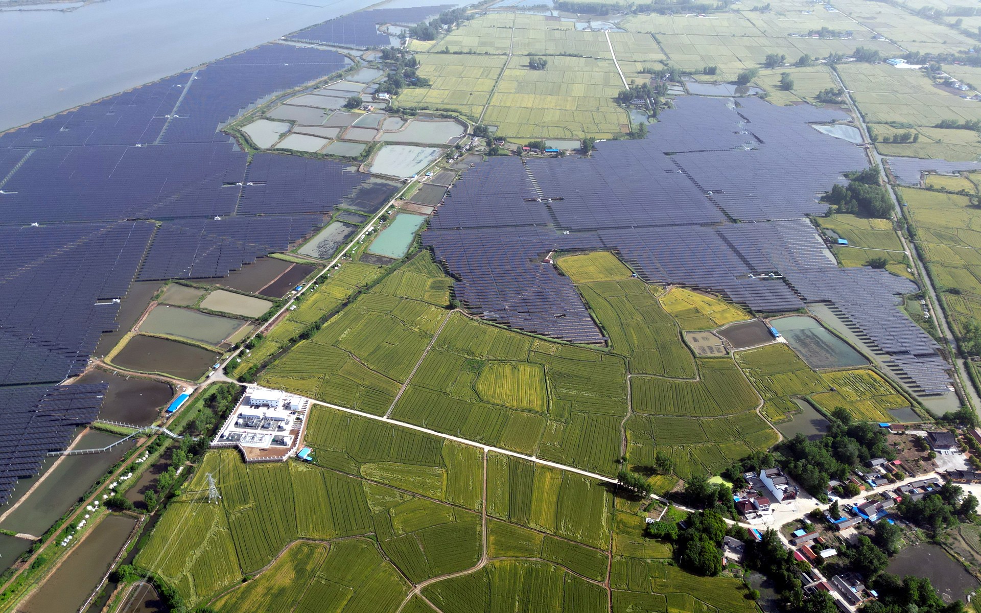 Stake (中国区)官方网站