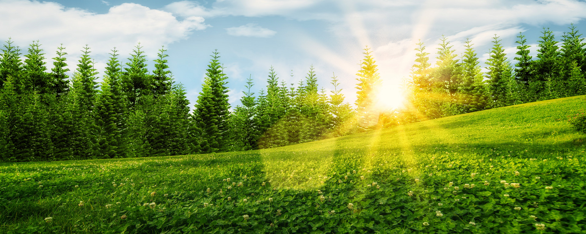 Stake (中国区)官方网站